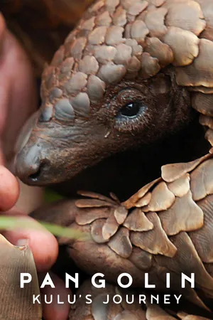 Pangolin Kulu's Journey (2025) การเดินทางของคูลู